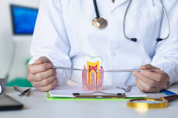 Professional Emergency Dentist in WY